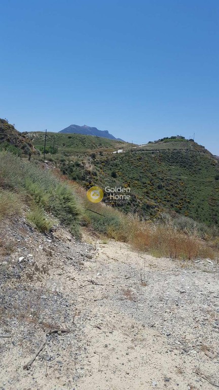 Οικόπεδο 6.398 τ.μ. προς πώληση, Λοφούπολη