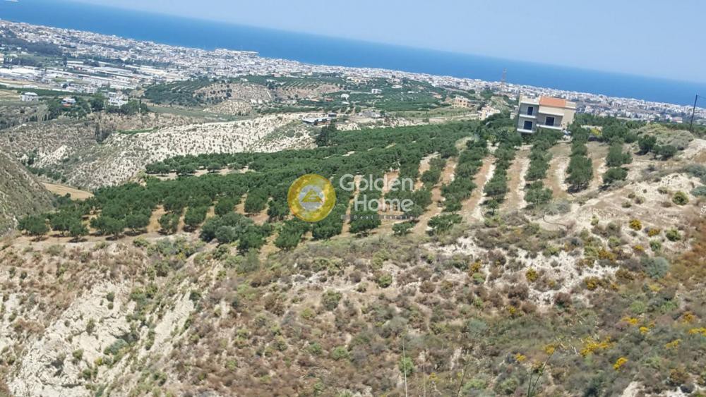 Οικόπεδο 6.398 τ.μ. προς πώληση, Λοφούπολη