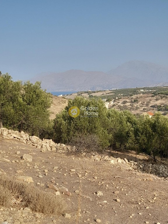 Οικόπεδο 2.082 τ.μ. προς πώληση, Πιτσίδια