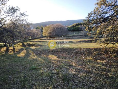 Οικόπεδο 3.584τ.μ. για πώληση-Άνδρος » Χώρα