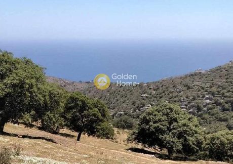 Parcel 16.000sqm for sale-Kea » Kastanies