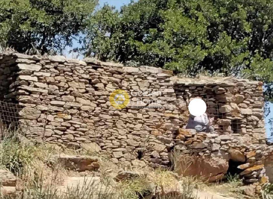Αγροτεμάχια 16.000 τ.μ. προς πώληση, Καστανιές Κέας