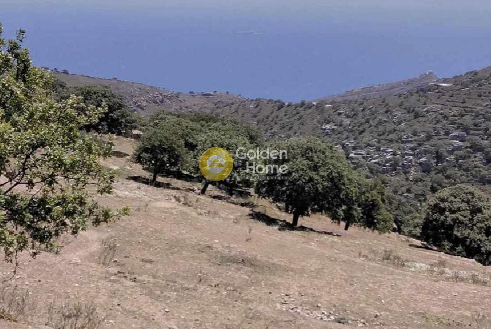 Αγροτεμάχια 16.000 τ.μ. προς πώληση, Καστανιές Κέας