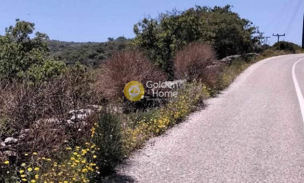 Αγροτεμάχια 16.000 τ.μ. προς πώληση, Καστανιές Κέας