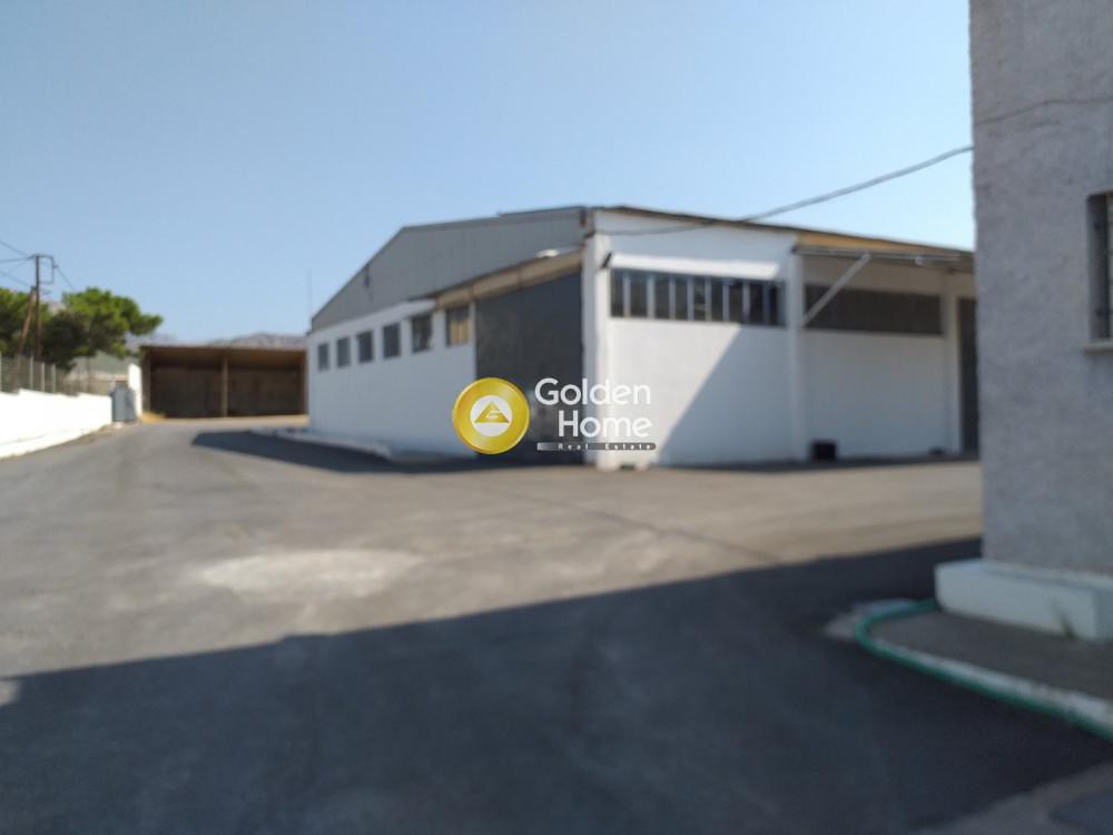 Αποθήκη 2.350 τ.μ. προς πώληση, Αμμουδιές