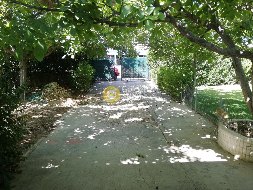 Οικόπεδο 1.670 τ.μ. προς πώληση, Σκάλα Ωρωπού