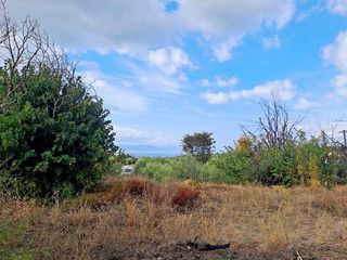 Οικόπεδο 500 τ.μ. για πώληση