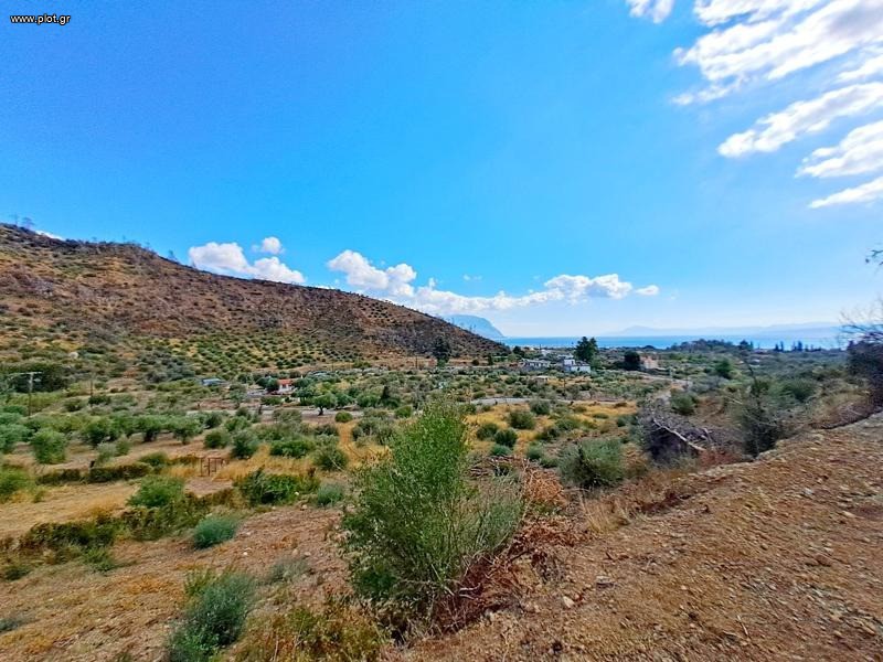 Οικόπεδο 4.982 τ.μ. προς πώληση, Σηπιάδα Λίμνης