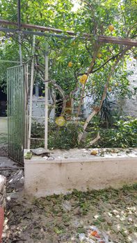 Διαμέρισμα 115τ.μ. για πώληση-Αττική » Θυμαράκια