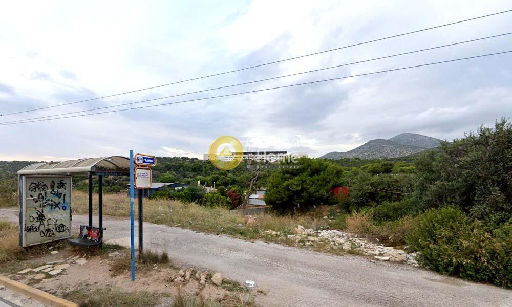 Οικόπεδο 1.299 τ.μ. προς πώληση, Σκάρπιζα