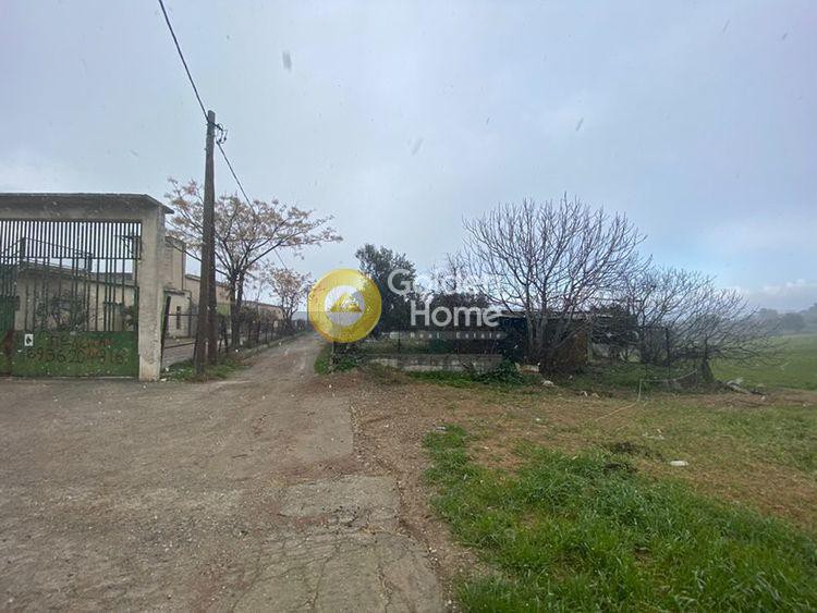 Βιομηχανικός χώρος 2.500 τ.μ. προς πώληση, Κέντρο Σχηματαρίου