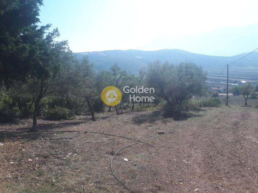 Οικόπεδο 36.000 τ.μ. προς πώληση, Αγριλιά Λαμίας