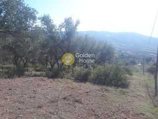Οικόπεδο 36.000 τ.μ. για πώληση