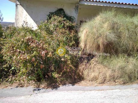 Οικόπεδο 1.000τ.μ. για πώληση-Πεντέλη » Μουζάκι