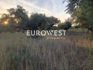 Αγροτεμάχια 4.500 τ.μ. για πώληση
