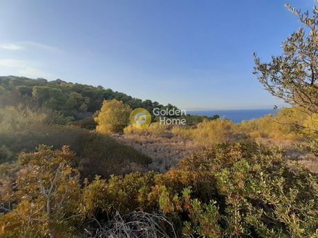 Οικόπεδο 8.900τ.μ. για πώληση-Αίγινα » Μαυρομούτσουνο
