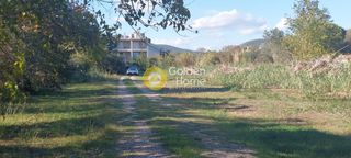Οικόπεδο 6.000 τ.μ. για πώληση