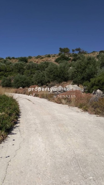 Αγροτεμάχια 7.050 τ.μ. προς πώληση, Ανατολή Ιεράπετρας