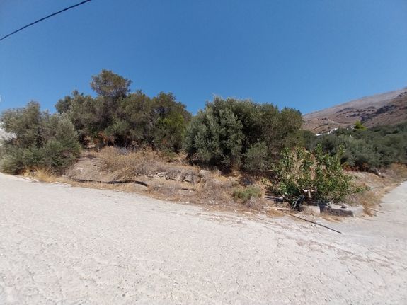 Οικόπεδο 319 τ.μ. για πώληση, Ν. Ρεθύμνου, Φοινίκας