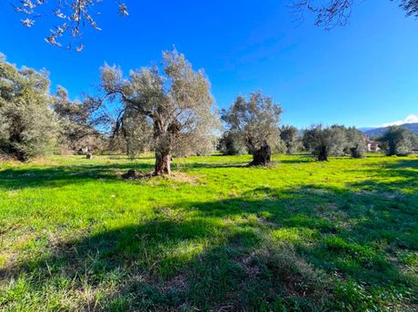 Parcel 4.730sqm for sale-Lefkada » Main Town Area
