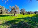 Parcel 4.730sqm for sale-Lefkada » Main Town Area