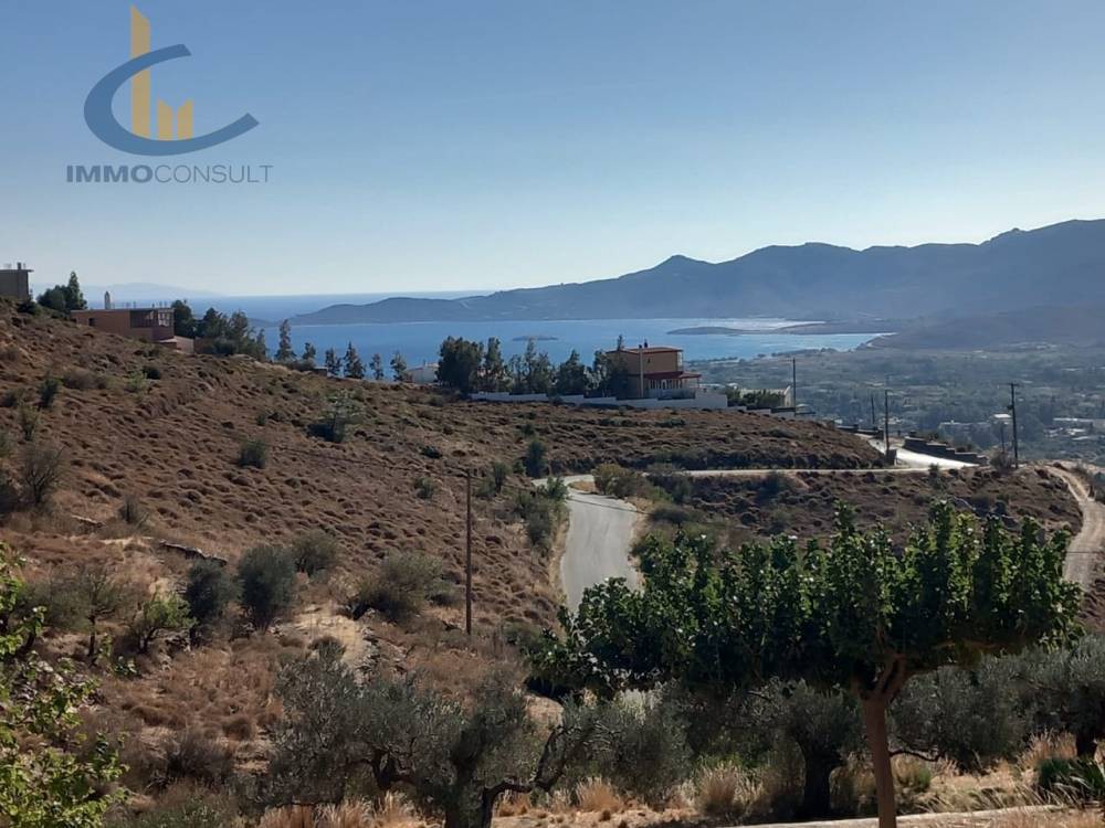 Οικόπεδο 3.100 τ.μ. προς πώληση, Πηγαδάκια Καρύστου