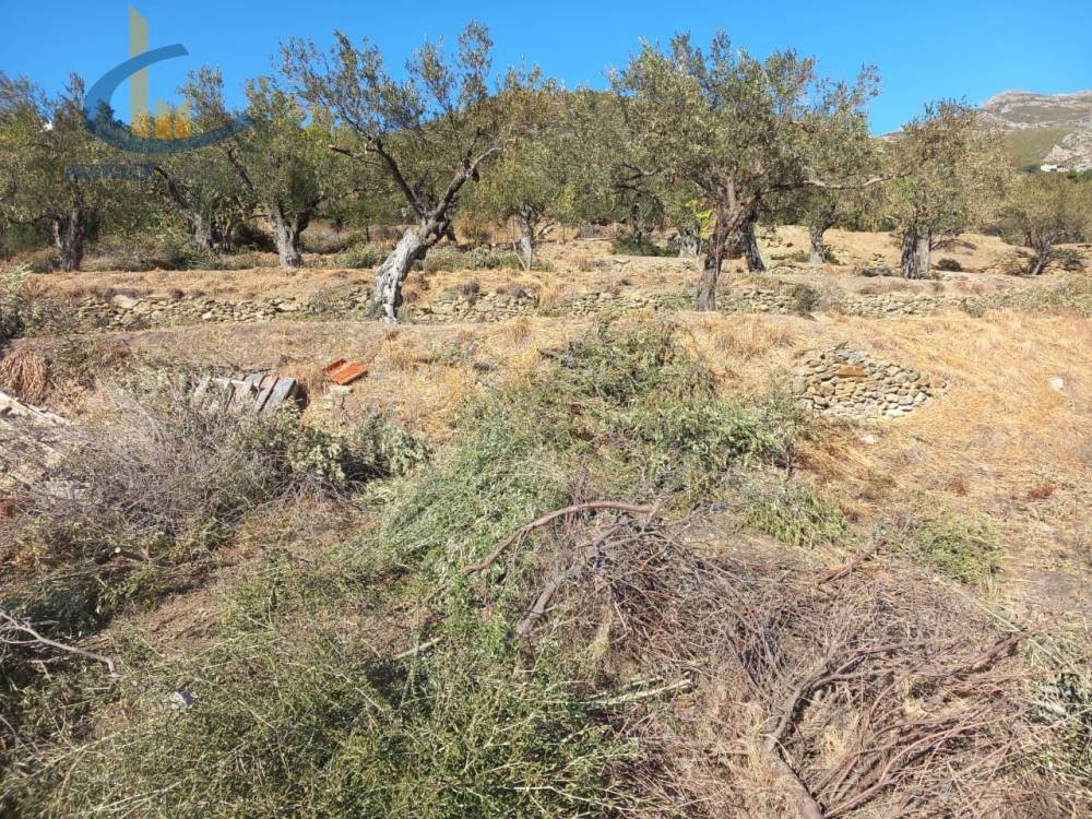 Οικόπεδο 3.100 τ.μ. προς πώληση, Πηγαδάκια Καρύστου