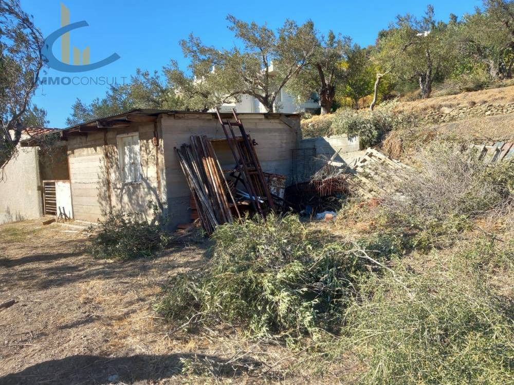 Οικόπεδο 3.100 τ.μ. προς πώληση, Πηγαδάκια Καρύστου
