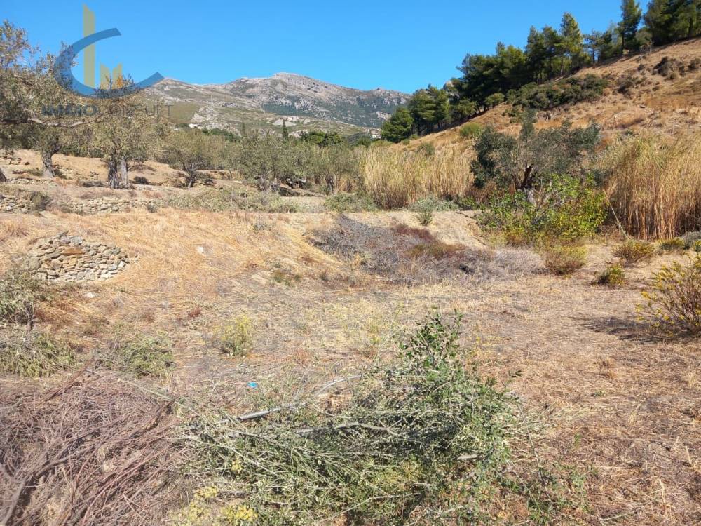 Οικόπεδο 3.100 τ.μ. προς πώληση, Πηγαδάκια Καρύστου