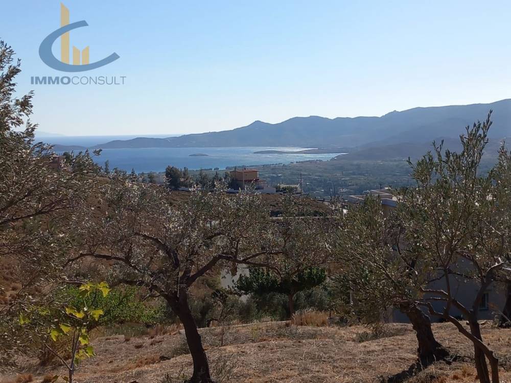 Οικόπεδο 3.100 τ.μ. προς πώληση, Πηγαδάκια Καρύστου