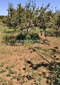 Parcel 2 sqm for sale
