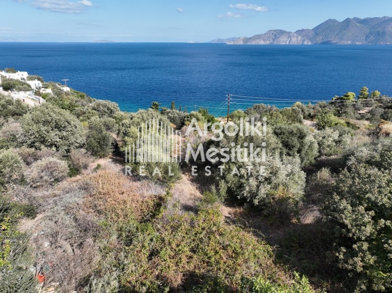 Αγροτεμάχια 6.285 τ.μ. προς πώληση, Καλλονή Τροιζήνας