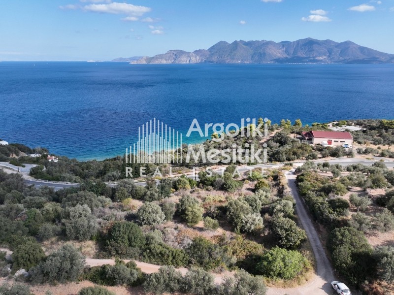 Αγροτεμάχια 6.285 τ.μ. προς πώληση, Καλλονή Τροιζήνας