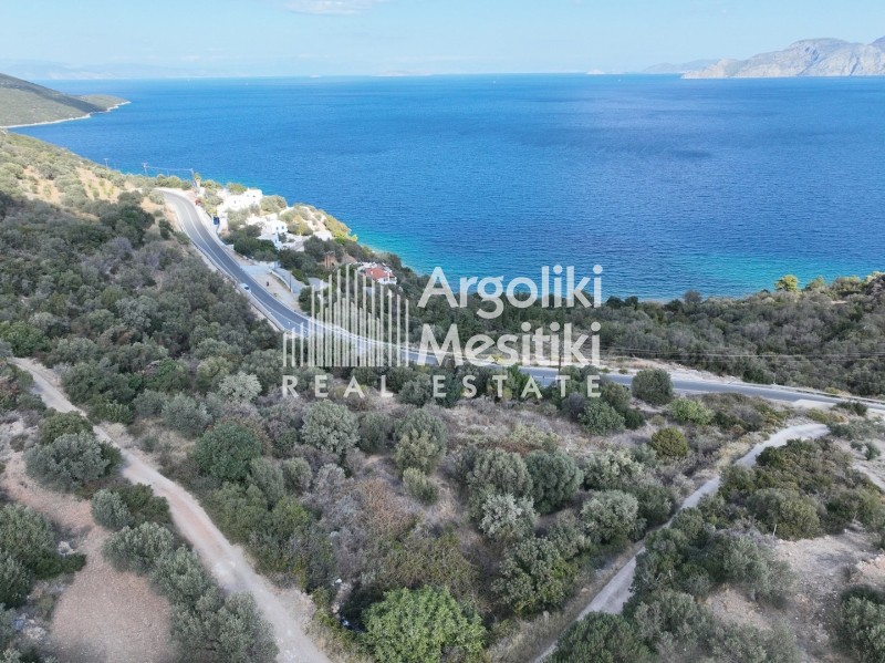 Αγροτεμάχια 6.285 τ.μ. προς πώληση, Καλλονή Τροιζήνας