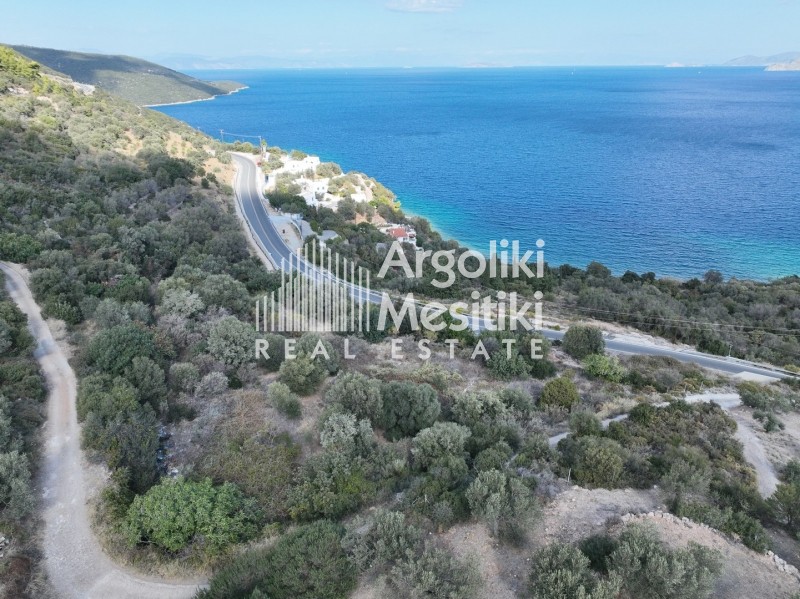 Αγροτεμάχια 6.285 τ.μ. προς πώληση, Καλλονή Τροιζήνας