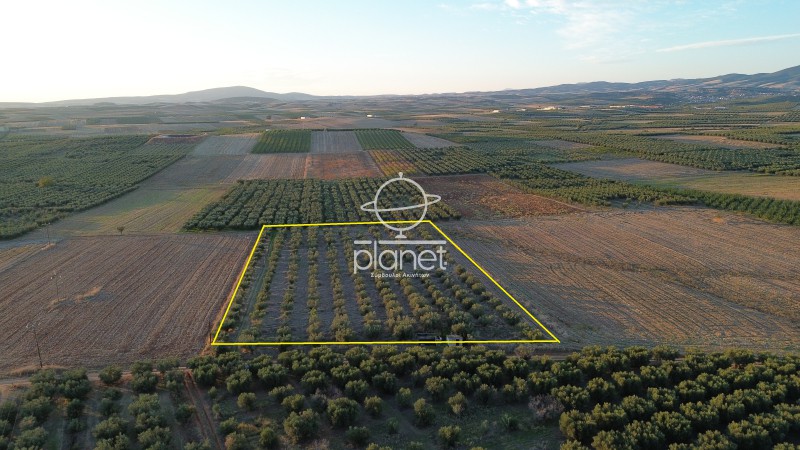 Αγροτεμάχια 13.350 τ.μ. προς πώληση, Πορταριά Μουδανιών