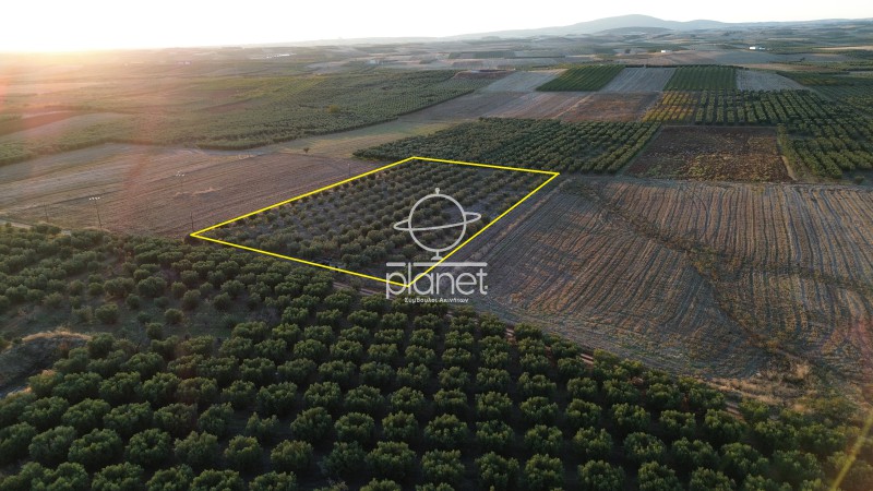 Αγροτεμάχια 13.350 τ.μ. προς πώληση, Πορταριά Μουδανιών