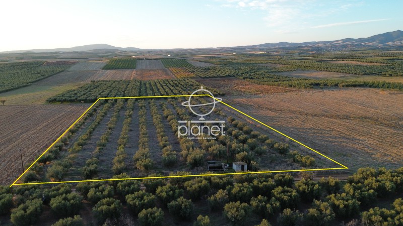 Αγροτεμάχια 13.350 τ.μ. προς πώληση, Πορταριά Μουδανιών