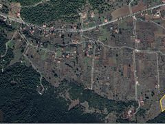 Αγροτεμάχια 11.200 τ.μ. για πώληση