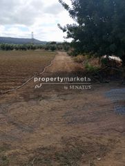 Οικόπεδο 4.050 τ.μ. για πώληση, Ν. Ρεθύμνου, Αρκάδι-thumb-2