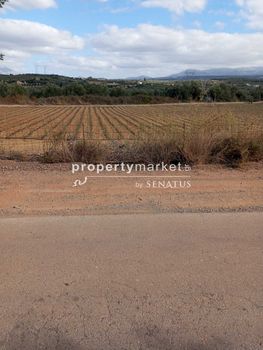 Land plot 4.050sqm for sale-Arkadi » Pagkalochori
