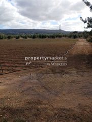 Οικόπεδο 4.050 τ.μ. για πώληση, Ν. Ρεθύμνου, Αρκάδι-thumb-1
