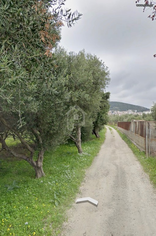 Αγροτεμάχια 3.100 τ.μ. για πώληση, Ν. Σάμου, Σάμος