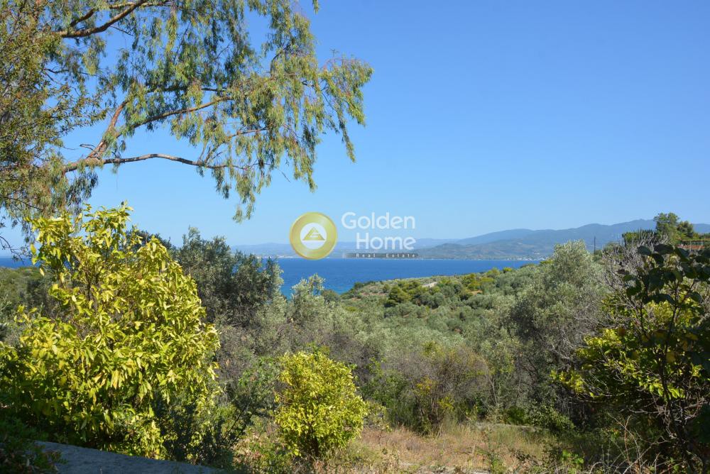 Συγκρότημα διαμερισμάτων 200 τ.μ. προς ενοικίαση, Γλύφα Πελασγίας