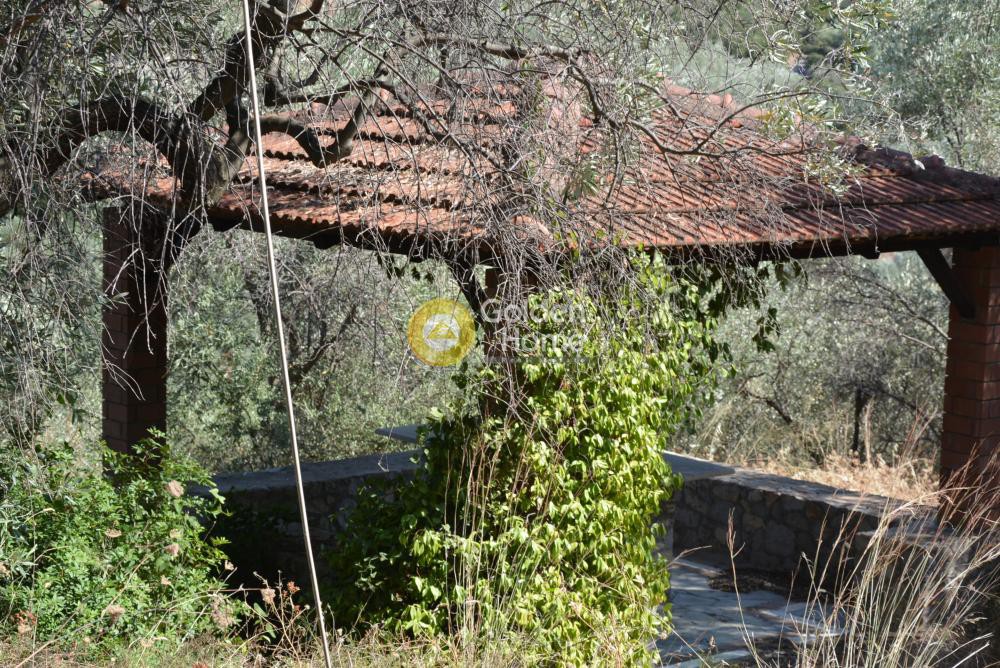 Συγκρότημα διαμερισμάτων 200 τ.μ. προς ενοικίαση, Γλύφα Πελασγίας