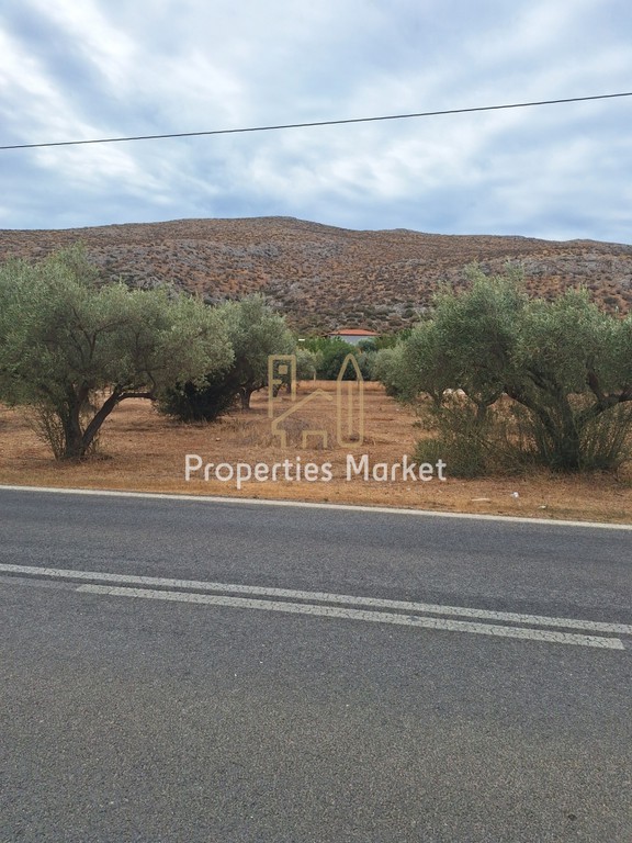 Αγροτεμάχια 2.950 τ.μ. πρός πώληση, Αττική - Υπόλοιπο, Καλύβια Θορικού