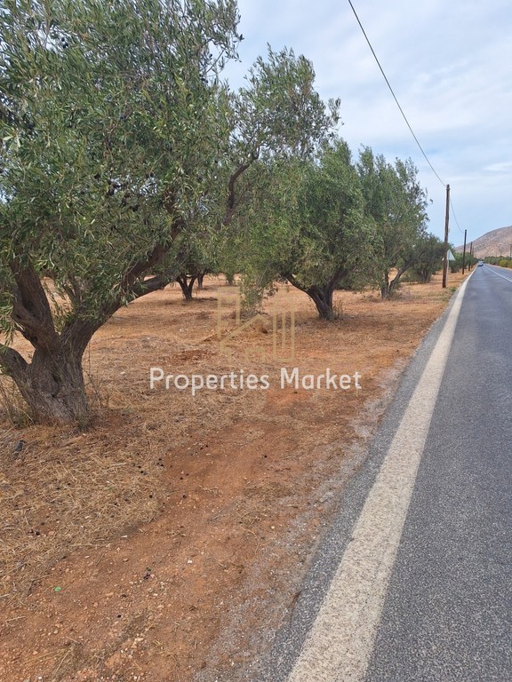 Αγροτεμάχια 2.950 τ.μ. πρός πώληση, Αττική - Υπόλοιπο, Καλύβια Θορικού