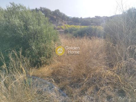 Αγροτεμάχια 2.000τ.μ. για πώληση-Τέμενος » Άγιος σύλλας