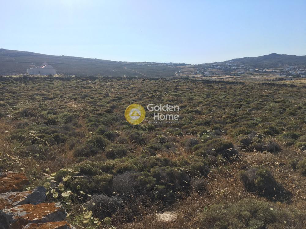 Αγροτεμάχια 5.162 τ.μ. προς πώληση, Άνω Μερά