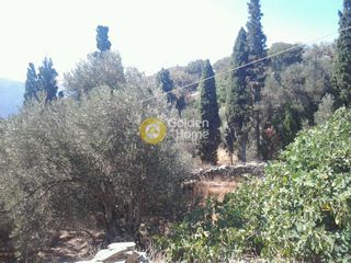 Οικόπεδο 4.000 τ.μ. προς πώληση, Χώρα Άνδρου-thumb-1